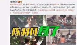 王婉菲公开爆料视频大全,揭秘背后真相与争议