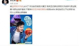 爆料与大师对话视频