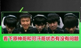 舅哥爆料原神视频