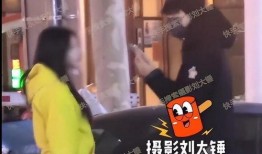 刘大锤爆料张姓艺人视频,真相背后引人深思