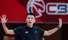 天涯爆料杨鸣视频大全,杨鸣视频大全，揭秘篮球明星幕后故事