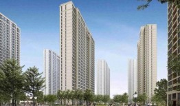 限价商品房最新爆料消息,价格调整与政策解读揭秘