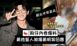 刘大锤爆料张姓艺人视频,真相背后引人深思