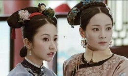 爆料宜妃护驾身亡视频播放,揭秘视频背后的感人故事