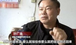 明星爆料还钱犯法吗视频,揭秘法律边界与道德争议
