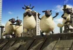 小羊被爆料视频大全,揭秘网络红人幕后真相