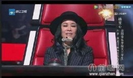 爆料那英夜场出道视频播放,揭秘歌手背后的传奇故事