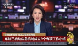 央视热点新闻爆料电话,揭秘热点新闻背后电话线索追踪