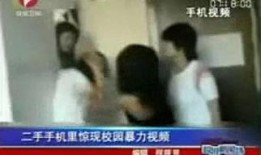 网红爆料校园暴力事件视频,网红揭露校园黑暗面