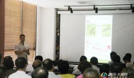 爆料杨氏集团最新消息,揭秘集团最新发展及战略布局