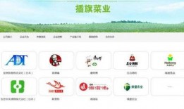 杭州视频爆料平台官网入口,一键上报，共建和谐网络空间