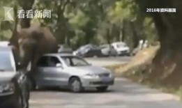 玩车网红爆料视频,玩车界最新爆料视频深度解析