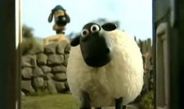 小羊被爆料视频大全,揭秘网络红人幕后真相