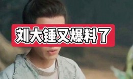 刘大锤爆料杜海涛视频,揭秘背后惊人真相