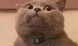 网红吃瓜表情包是谁发的