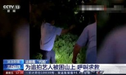 爆料艺人陪局新闻,揭秘艺人陪局背后的真相