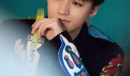 狗仔最新爆料王俊凯视频,狗仔最新爆料揭秘明星生活