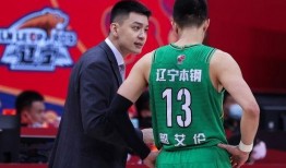 天涯爆料杨鸣视频大全,杨鸣视频大全，揭秘篮球明星幕后故事