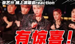 导演爆料演唱会视频完整版,演唱会视频完整版幕后故事