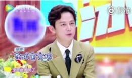 何炅爆料自己的孩子视频,温馨亲子互动引网友热议