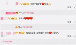 升妈最新消息爆料,揭秘明星家庭幕后故事