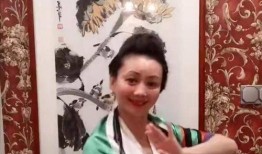 朱军爆料谭梅视频播放,真相与争议交织