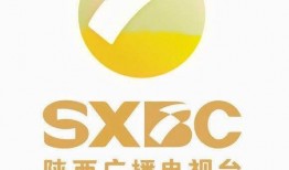 陕西电视台第一新闻爆料,揭秘XX事件背后真相