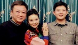 朱军爆料谭梅视频播放,真相与争议交织