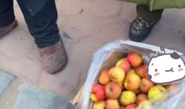 长沙女子卖水果爆料视频,揭秘水果摊背后的真相