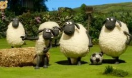 小羊被爆料视频大全,揭秘网络红人幕后真相