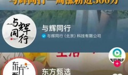 凤凰网爆料东方甄选视频,凤凰网独家揭秘直播带货新趋势