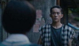 少年的你最新爆料,揭秘校园霸凌背后的真相与救赎