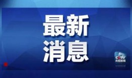 每日爆料深圳新闻网最新消息,每日爆料，聚焦深圳最新动态