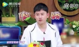 何炅爆料自己的孩子视频,温馨亲子互动引网友热议