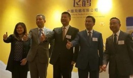 飞鹤最新爆料新闻视频,揭秘企业内幕与市场动态