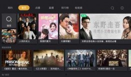 电视高清直播在线观看,电视直播在线观看新体验