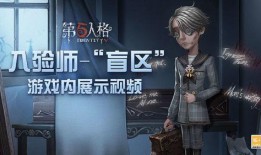 入殓师皮肤爆料视频大全,揭秘神秘职业背后的感人故事