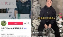 老杨直播爆料视频大全最新,揭秘娱乐圈最新动态与幕后故事