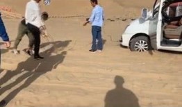 敦煌公厕最新爆料,古韵与现代文明的完美融合