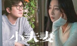 夫妻网红爆料视频大全,真实生活背后的故事