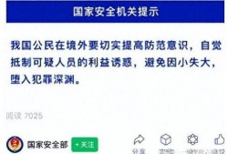 中国国安局最新爆料视频,深度解析中国网络安全防线