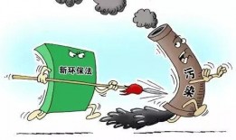 山东非法排污爆料案件最新