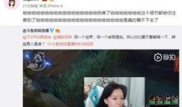 巴弟直播爆料事件视频,揭秘背后真相与争议