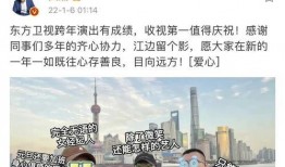 日本拾垃圾被爆料视频,城市清洁背后的辛酸与反思