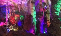 云南跟团爆料事件最新,揭秘团费背后的真相与困境