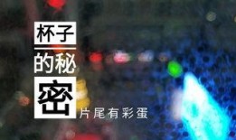 甘肃饭店爆料视频大全集,揭秘幕后真相与行业内幕
