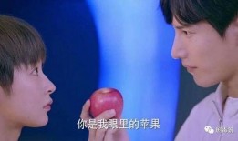双北cp圈内人爆料是谁,圈内人爆料惊人内幕！”