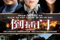 电视剧倒插门在线观看,爱情与现实的抉择