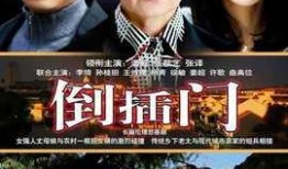 电视剧倒插门在线观看,爱情与现实的抉择