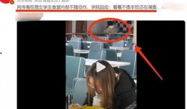 爆料高校原视频,原视频曝光惊人真相